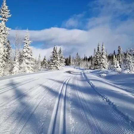 Synnseter, Synnfjell - 2880 Nord-torpa