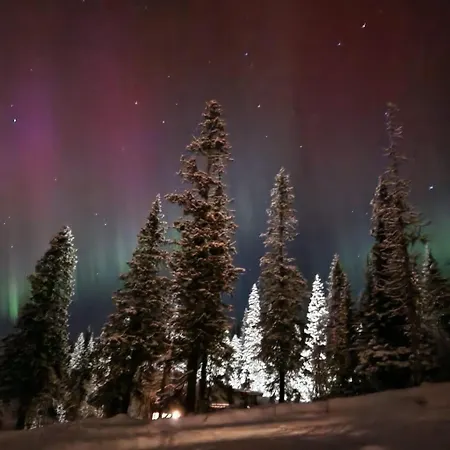 Synnseter, Synnfjell - 2880 Nord-torpa Nord Torpa